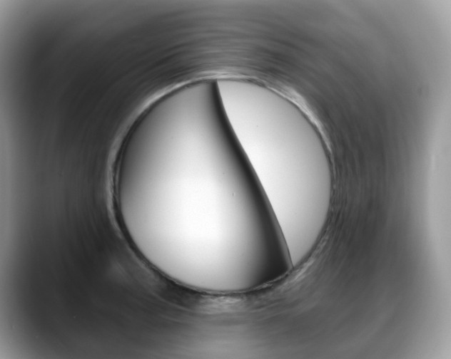 X0000088891187200706080800