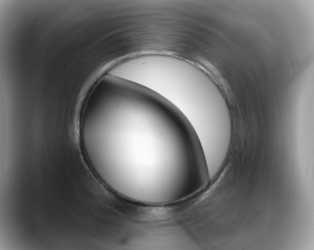 X0000088891188200706080800