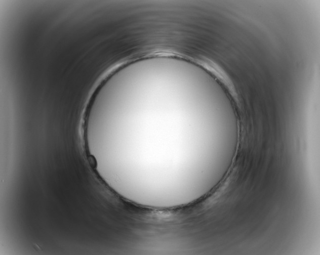 X0000088891190200706080800