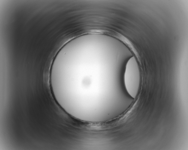 X0000088891194200706080800