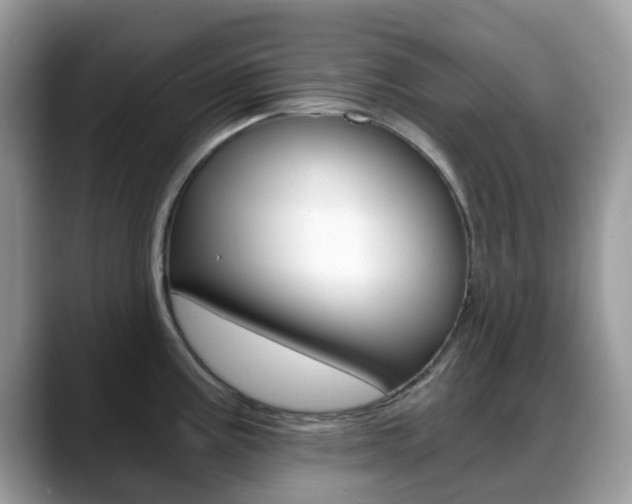 X0000088891195200706080800