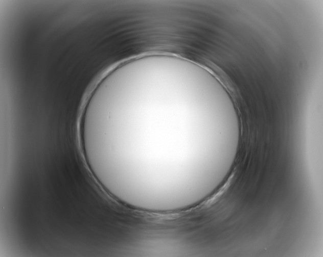 X0000088891196200706080800