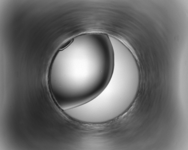 X0000088891197200706080800