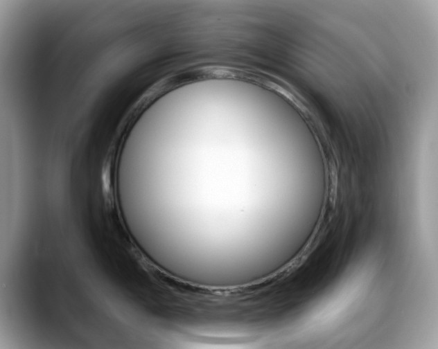 X0000088891198200706080800