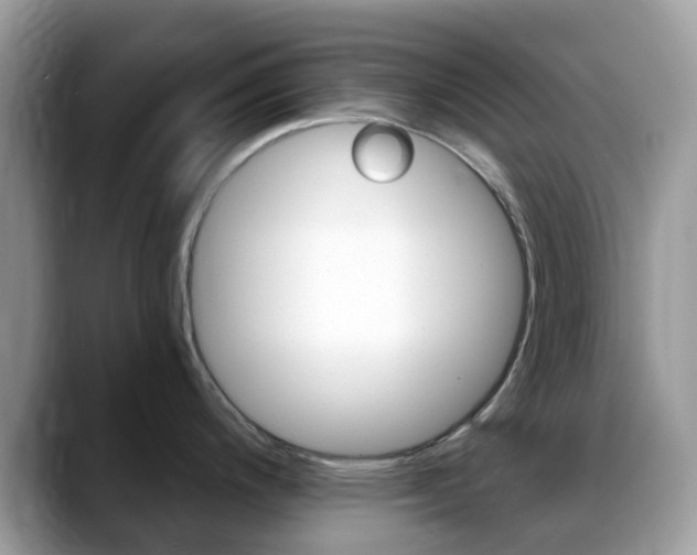 X0000088891200200706080800