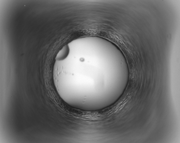 X0000088891201200706080759