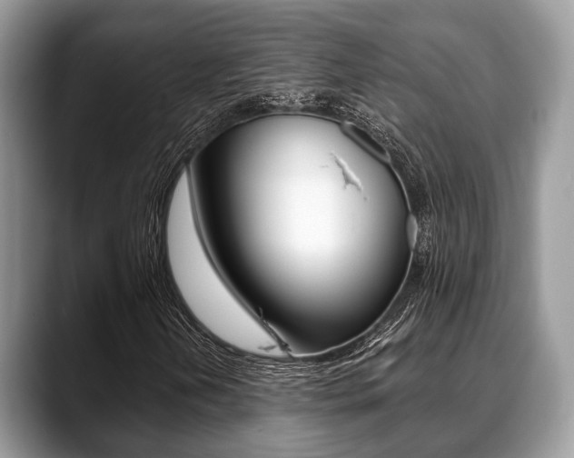 X0000088891202200706080759