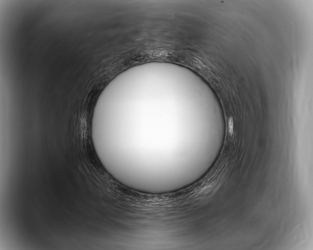 X0000088891203200706080759