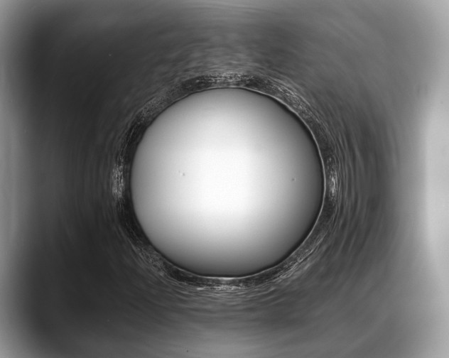 X0000088891204200706080759