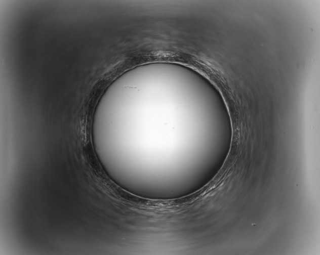 X0000088891205200706080759
