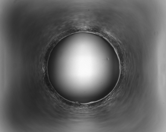 X0000088891206200706080759