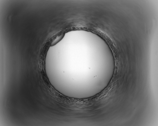 X0000088891207200706080759