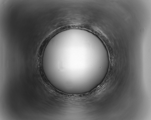 X0000088891208200706080800