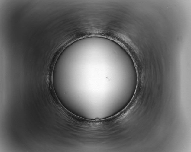 X0000088891209200706080800