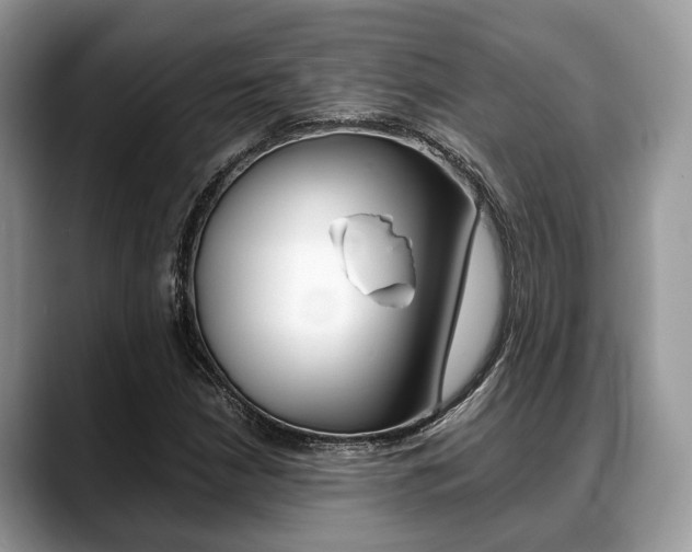 X0000088891210200706080800