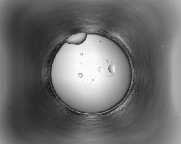 X0000088891211200706080800