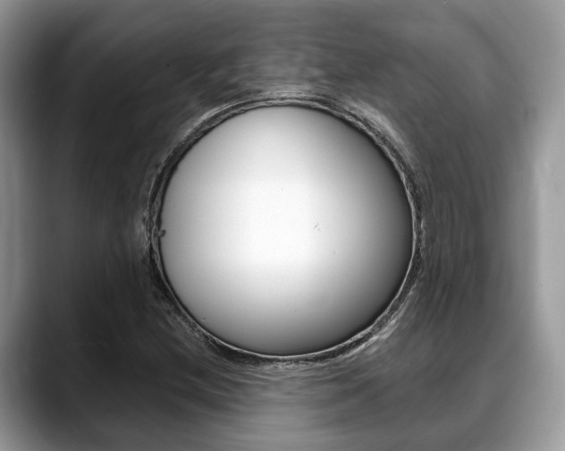 X0000088891212200706080800