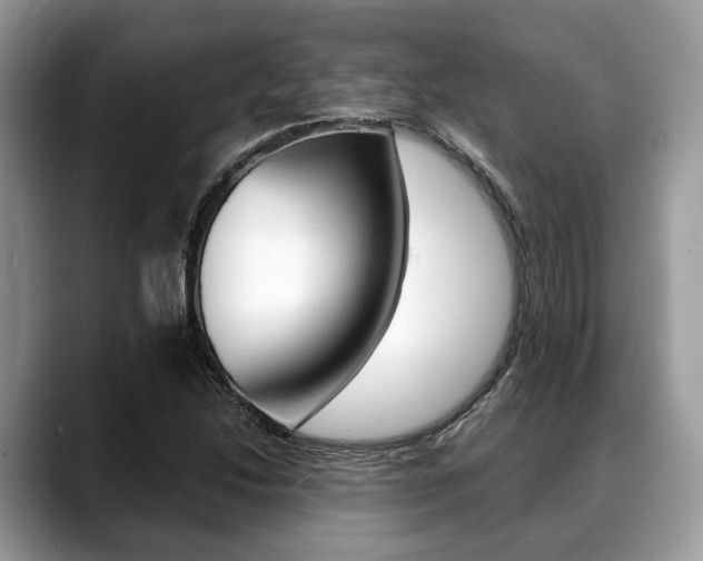 X0000088891214200706080800