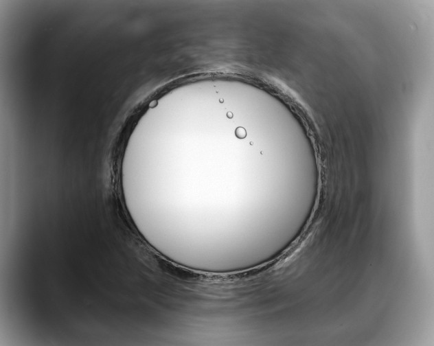 X0000088891215200706080800