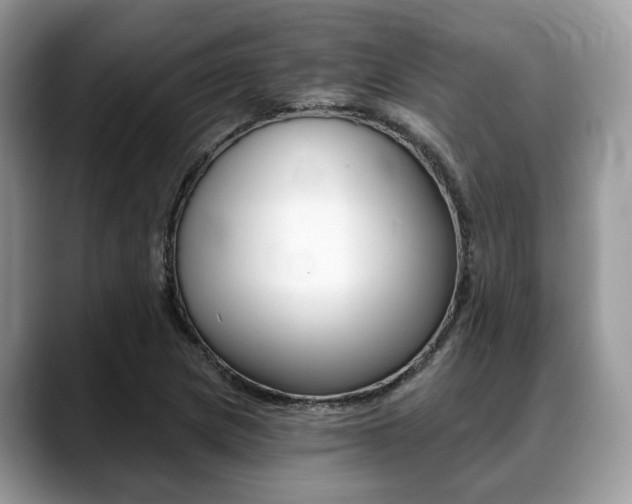 X0000088891217200706080800