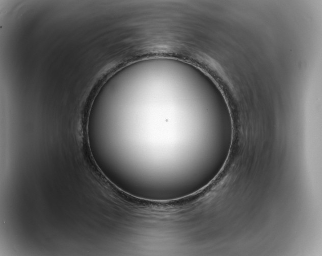 X0000088891218200706080800