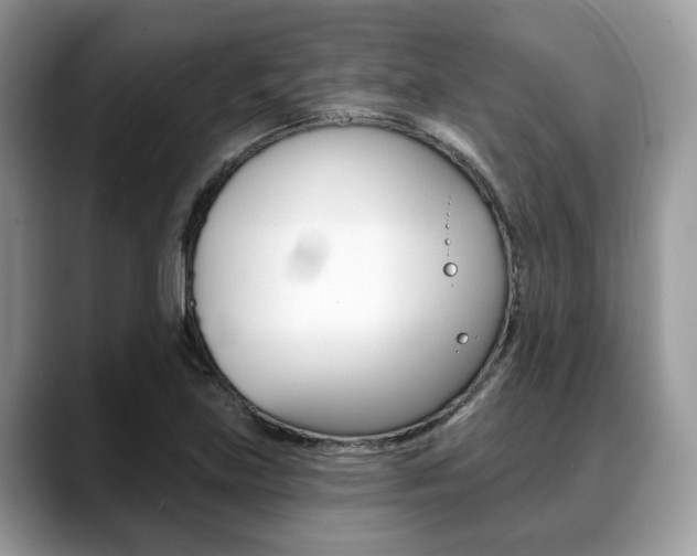 X0000088891219200706080800