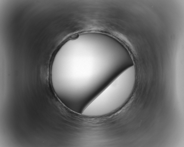 X0000088891220200706080800