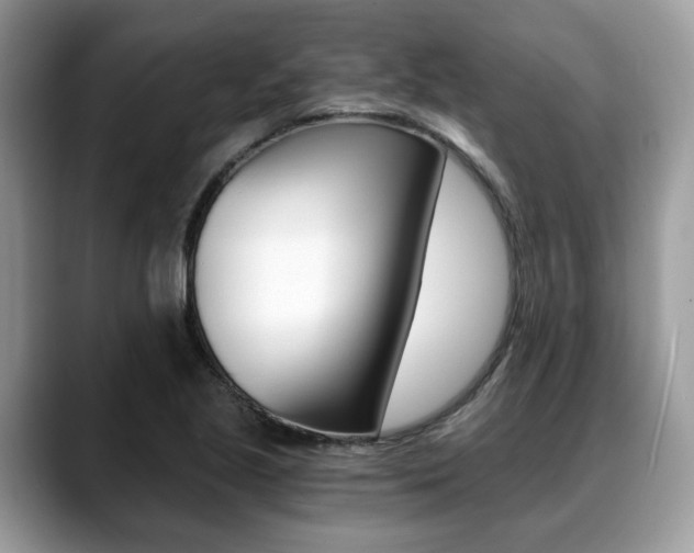 X0000088891221200706080800