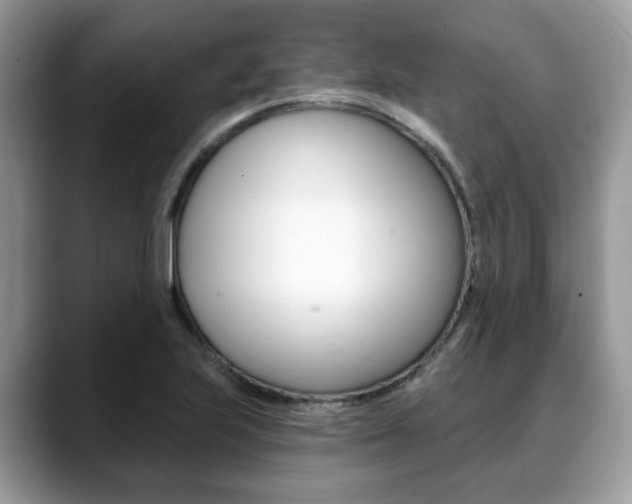 X0000088891223200706080800