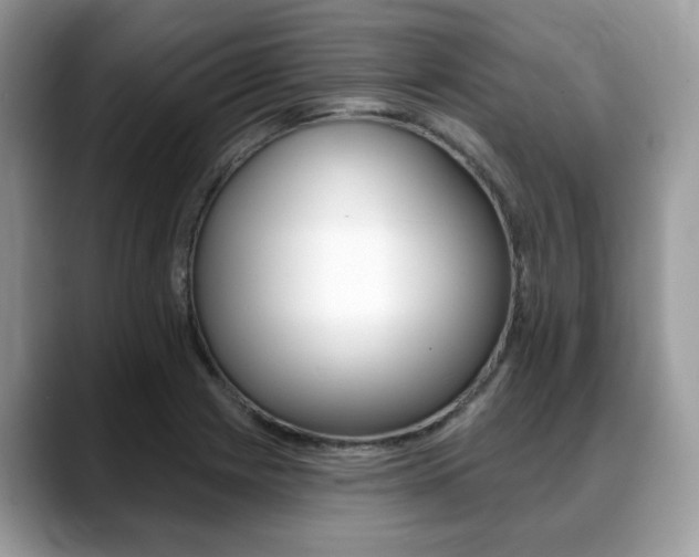 X0000088891225200706080800
