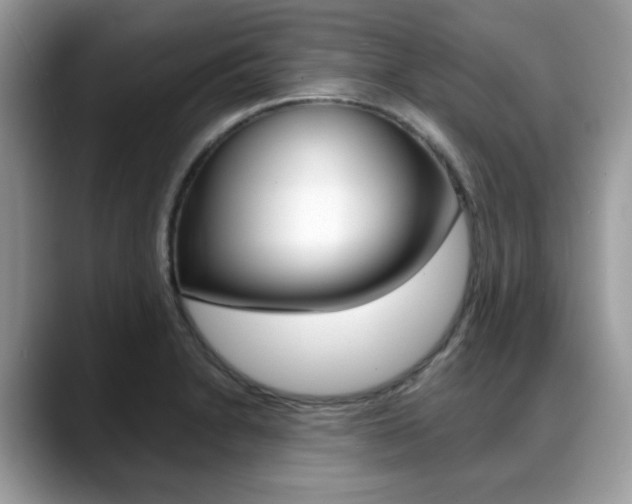 X0000088891230200706080800