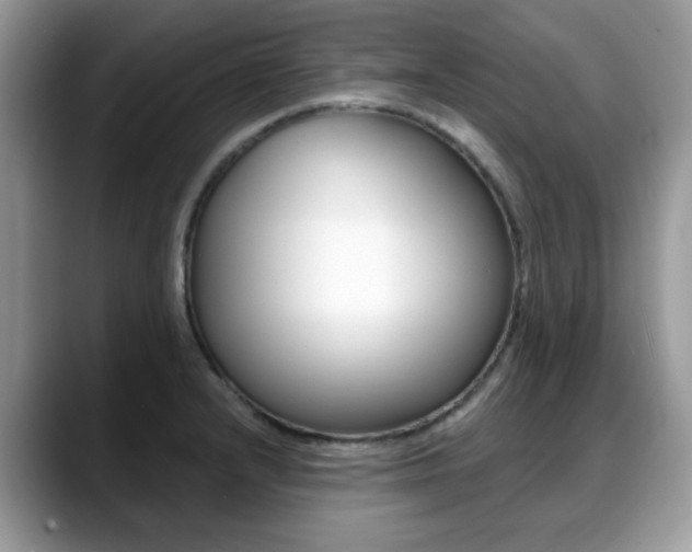 X0000088891232200706080800