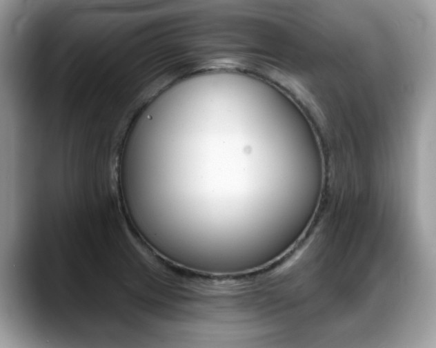 X0000088891233200706080800