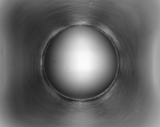 X0000088891234200706080800