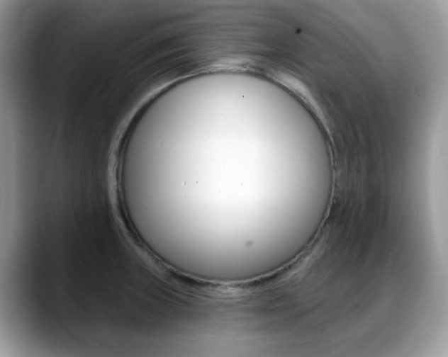 X0000088891235200706080800