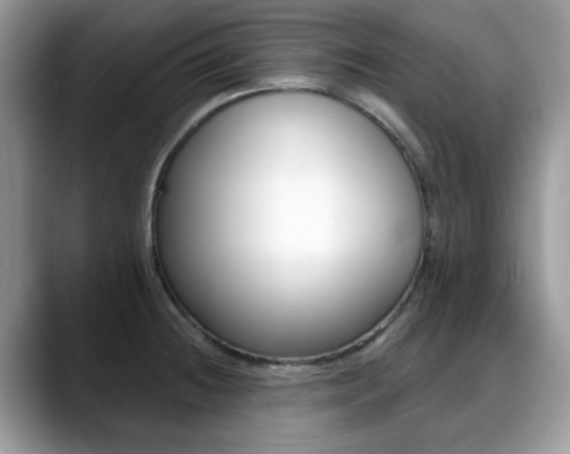 X0000088891236200706080800