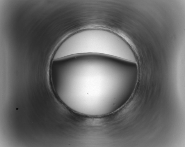 X0000088891237200706080800