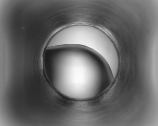 X0000088891238200706080800