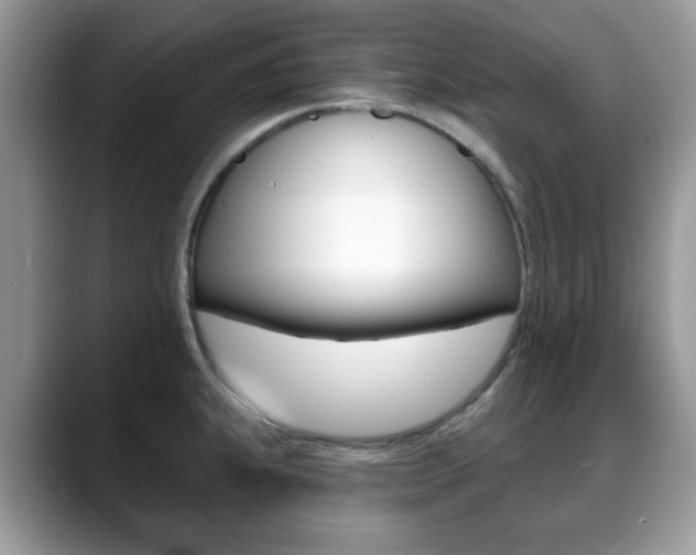 X0000088891239200706080800
