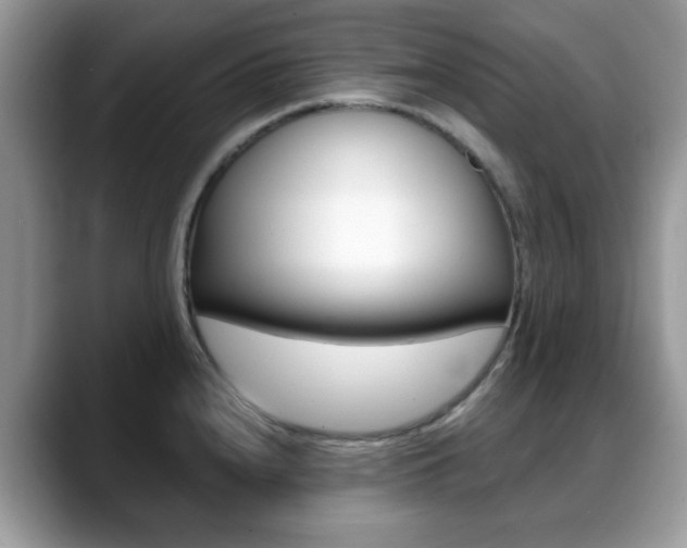 X0000088891240200706080800