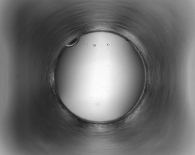 X0000088891241200706080800