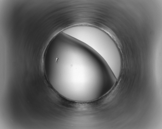 X0000088891242200706080800