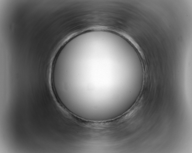 X0000088891245200706080800