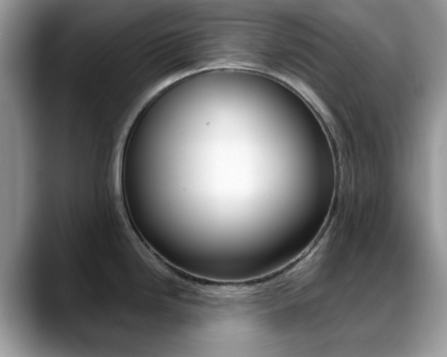 X0000088891246200706080800