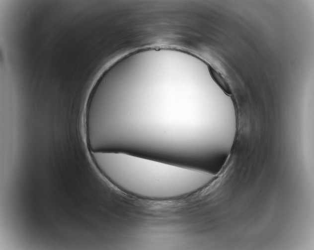 X0000088891247200706080800