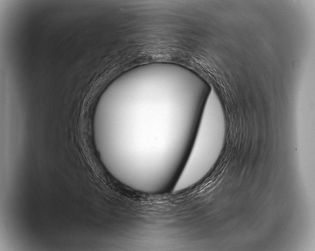 X0000088891249200706080759