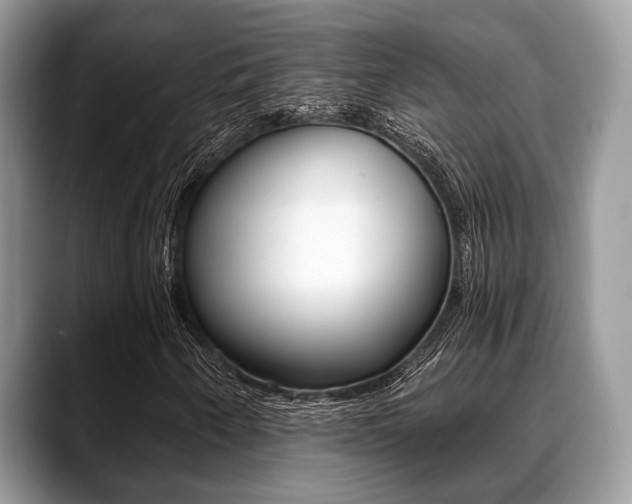 X0000088891250200706080759