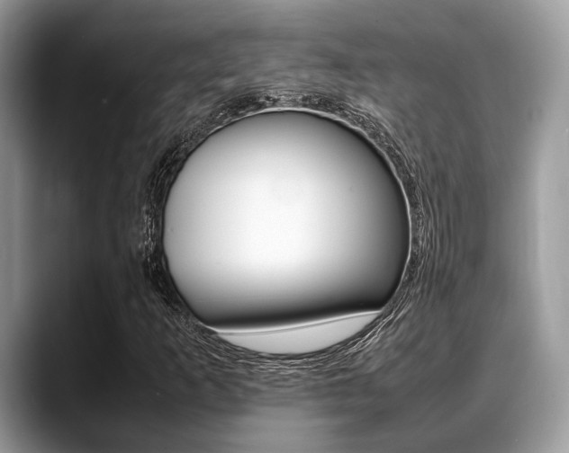 X0000088891253200706080759