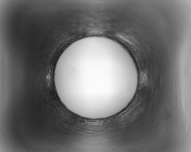 X0000088891254200706080759