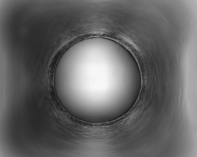 X0000088891256200706080759
